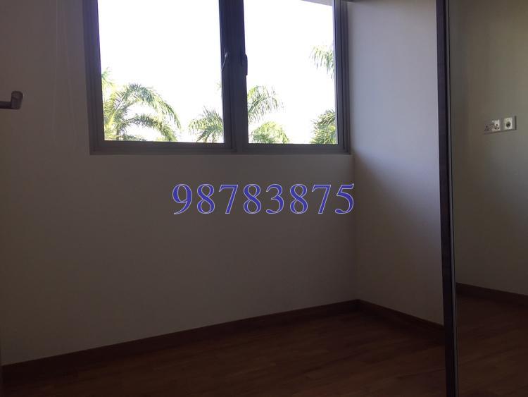 Whitehaven (D5), Apartment #174521582